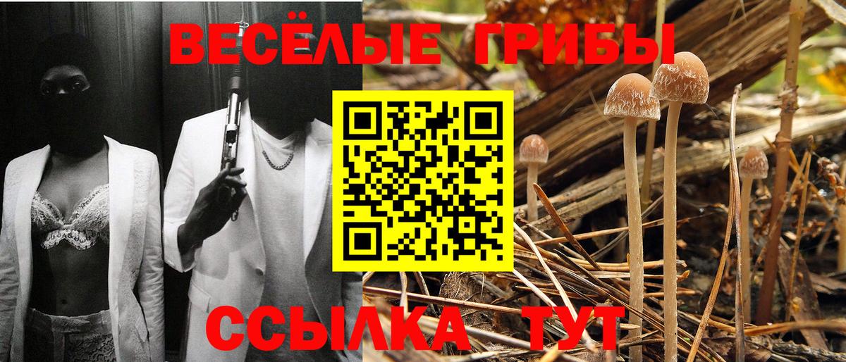 Псилоцибиновые грибы GOLDEN TEACHER  Вход с VPN  Псилоцибиновые грибы мицелий  Химки 